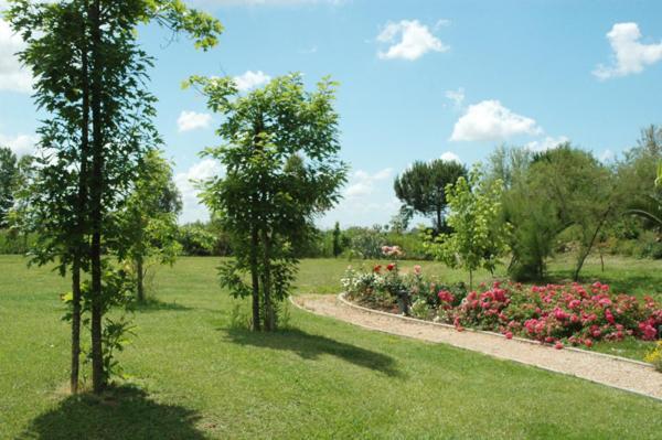 Hotel Le Rotonde Massaciuccoli Kültér fotó